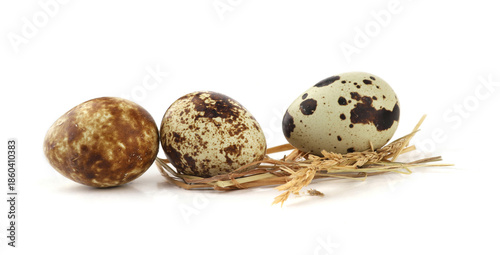Quail eggs on straw isolated on white background. Natural patterned farm quail eggs in hay.