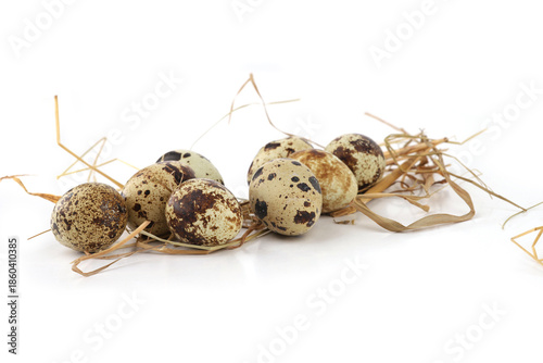 Quail eggs on straw isolated on white background. Natural patterned farm quail eggs in hay.