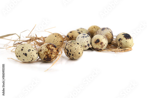 Quail eggs on straw isolated on white background. Natural patterned farm quail eggs in hay.