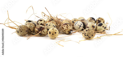 Quail eggs on straw isolated on white background. Natural patterned farm quail eggs in hay.