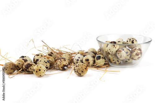 Quail eggs on straw isolated on white background. Natural patterned farm quail eggs in hay.