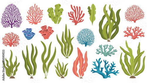 A diverse collection of colorful seaweed, algae, and coral illustrations, showcasing various underwater plants in different shapes and colors.