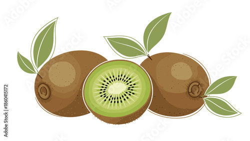 An artistic illustration of two whole kiwi fruits and one sliced in half, showing the green flesh and black seeds, decorated with green leaves.