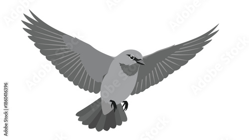 A simple and elegant illustration of a grey bird in mid-flight with its wings fully spread out, isolated on a white background.