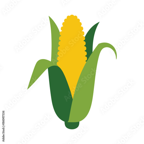 A bright yellow ear of corn is depicted with green husks.
