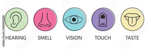 A collection of five colorful icons representing the human senses sight hearing smell taste and touch.