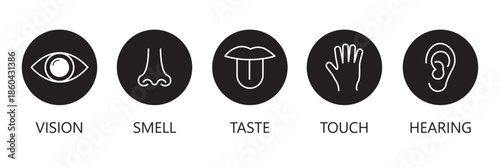 icon set of five human senses. vision eye, smell nose, hearing ear, touch hand, taste mouth with tongue sign. medical reference symbol. five types of human sense logo. flat style.
