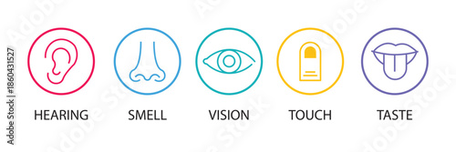 Human senses icon set. Vision eye, smell nose, hearing ear, touch hand, taste mouth with tongue. set of human five senses icon. Vector illustration. EPS 10
