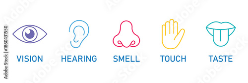 Five human senses editable stroke outline icons set. Flat vector illustration of human senses including ear, eye, nose, lips, and hand in minimalist design style. Five senses of human nervous system.