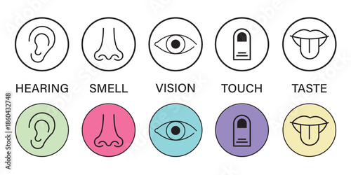 icon set of five human senses. vision eye, smell nose, hearing ear, touch hand, taste mouth with tongue sign. medical reference symbol. five types of human sense logo. flat style.