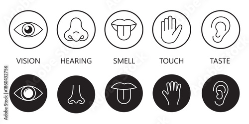  Human senses icon set. Vision eye, smell nose, hearing ear, touch hand, taste mouth with tongue. Simple line icons in circle. Five senses of human nervous system