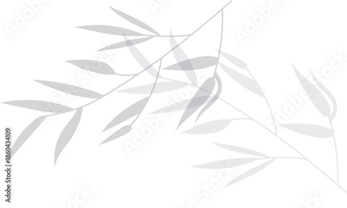 Shadow of a bamboo branch with leaves vector for abstract decoration, summer pattern, organic nature design . 