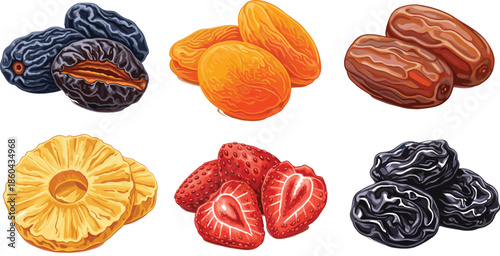 Large vector set of organic dried fruits including dates apricots strawberries pineapple and prunes isolated on white background for healthy snack design.