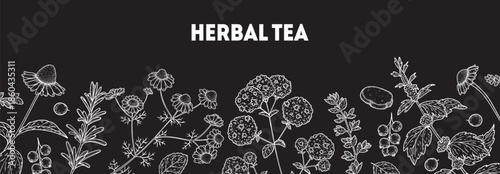 Herbal Tea vector drawing illustration. Herbal tea ingredients. Healthy food and drink . Vector drawing sketch collection. Engraved style.
