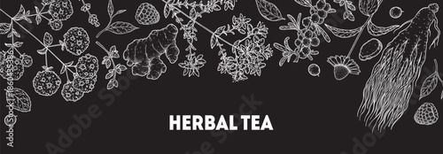 Herbal Tea vector drawing illustration. Herbal tea ingredients. Healthy food and drink . Vector drawing sketch collection. Engraved style.