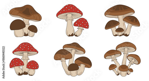 Comprehensive collection of various hand-drawn mushroom clusters including fly agaric and brown forest fungi on a white background.
