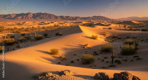 Desert landscape with sand dunes and mountains in the distance.
