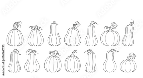 Set of diverse pumpkin and squash line art illustrations in various shapes and sizes for autumn and halloween designs.