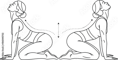 Line art illustration demonstrating the movement sequence for the yoga cat cow stretch for back mobility