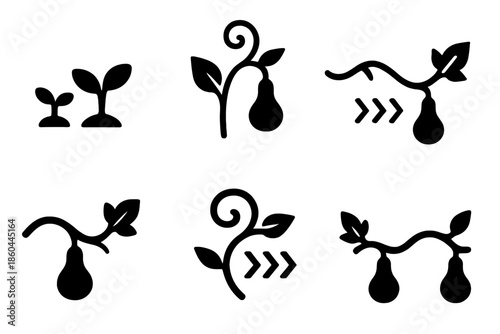 Gourd Vine Icons. Solid style icons of growing gourd trails: sprouting gourds, vine paths, pulse markers, trail indicators, leafy