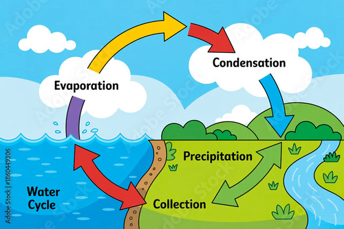 A simple educational infographic illustration of the water cycle