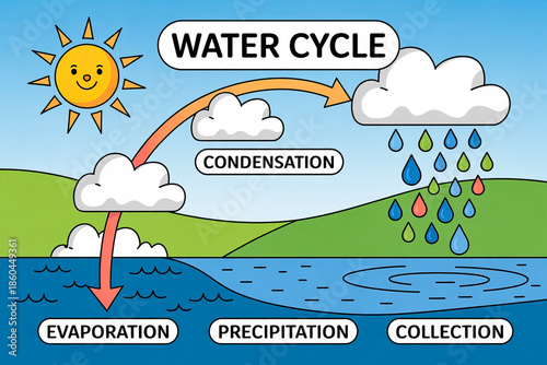 A simple educational infographic illustration of the water cycle