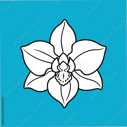 Vector line artwork of an orchid flower on blue.