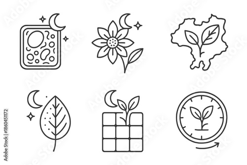 Nocturnal Plant Icons. Line style icons of nocturnal plant biology: moonlit plant cell, night-bloom structure, nocturnal flora map