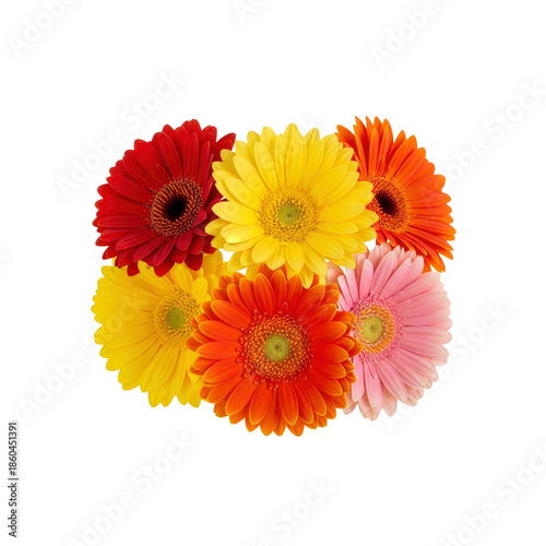Colorful Gerberas arranged in floral bunch
