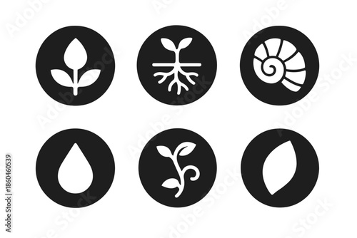 Organic Growth Icons. Solid style round vector icons of organic growth: bud, root, shell, droplet, vine, petal No text, No labels,