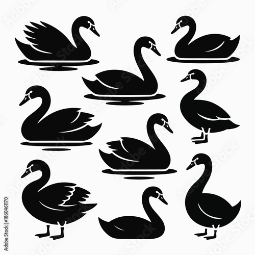 Black Swan and Duck Silhouette Vector Icon Set