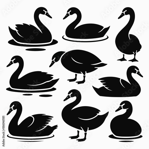  Black Swan and Duck Silhouette Vector Icon Set