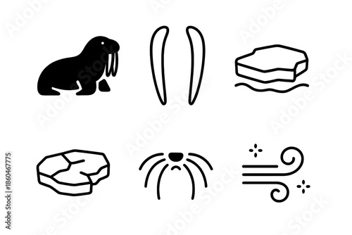Walrus Icon Design. Line style icons of Walrus Tusk Ice: walrus silhouette, long tusks, ice floe, frozen cracks, whisker arcs,