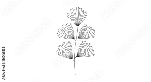Elegant line art illustration of a ginkgo leaf branch with detailed fan shaped leaves in a clean minimalist black and white style.