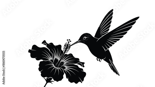 Hummingbird with hibiscus flower vector illustration