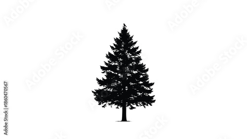 Pine tree evergreen silhouette nature vector illustration