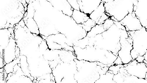 A striking abstract background featuring a close up view of elegant white marble with intricate dark veining patterns