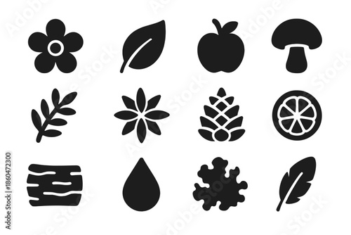 Natural Odor Icons. Solid style icons of natural odor sources: flower, leaf, fruit, mushroom, herb, spice, pinecone, citrus, bark,