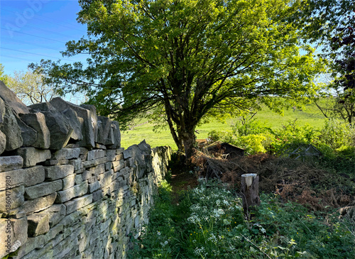 A lush green landscape features a prominent stone garden wall leading to a large tree and an old wooden hut. Sunlight filters through the leaves, casting shadows on the ground in Bradford, UK