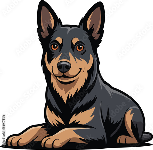  Cute cartoon a illustrator vector kelpie