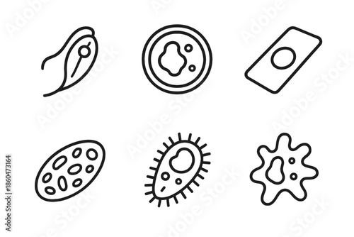 Protozoan Parasite Icons. Line style icons of Protozoan Parasites: flagellated protozoan, cyst form, microscope slide, blood smear
