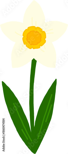 수선화