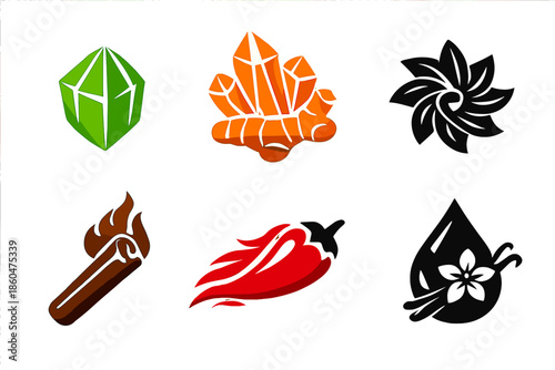 Exotic Spice Icons. Solid style icons of Exotic Flavors: cardamom pod prism, turmeric root crystal, star anise spiral, cinnamon