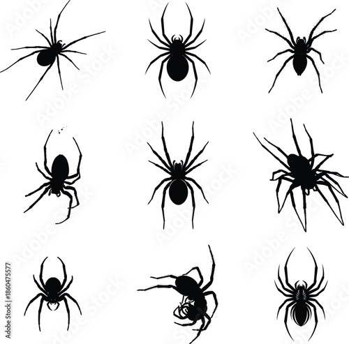 Silhouette images of various spiders and insects in different poses