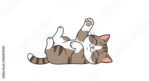 Cute tabby cat lying on its back with paws up and a happy expression, isolated on a white background for funny pet design.
