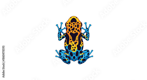 Vibrant poison dart frog with unique blue, yellow, and black patterns shown from a top-down view on a plain white background.