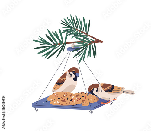 Sparrows pecking grains, seeds from bird feeder, tray, feeding platform. Food station hanging on winter fir branch, birdfeeder board with cereals. Flat vector illustration isolated on white background