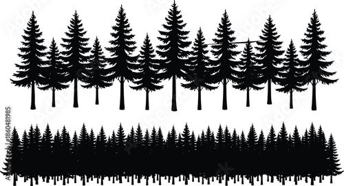 Set of pine tree silhouettes, coniferous forest horizon, woodland nature background, evergreen plants, black vector icons, cad drawing flat vector illustration.