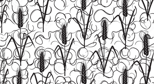 Hand drawn collection of wild grass and wheat ears isolated