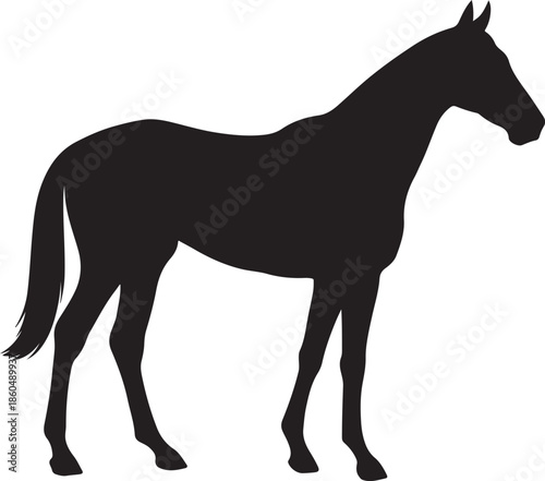 Standing horse silhouette vector illustration, black equine clipart icon design